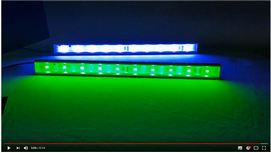 Demonstration of the RGB Lighting, Made in Korea, DMX
